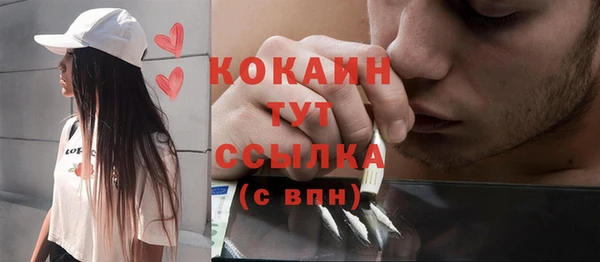 спайс Алзамай