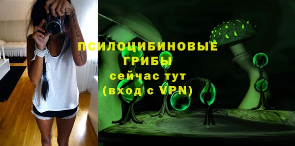 сатива Алексеевка