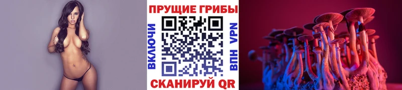 Галлюциногенные грибы ЛСД  Зуевка 